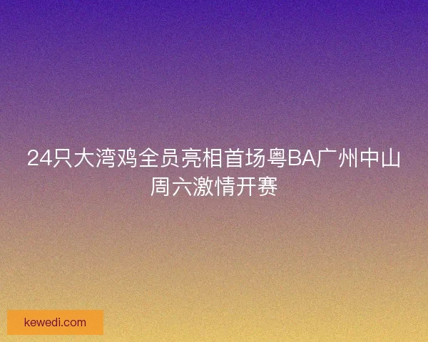 24只大湾鸡全员亮相首场粤BA广州中山周六激情开赛